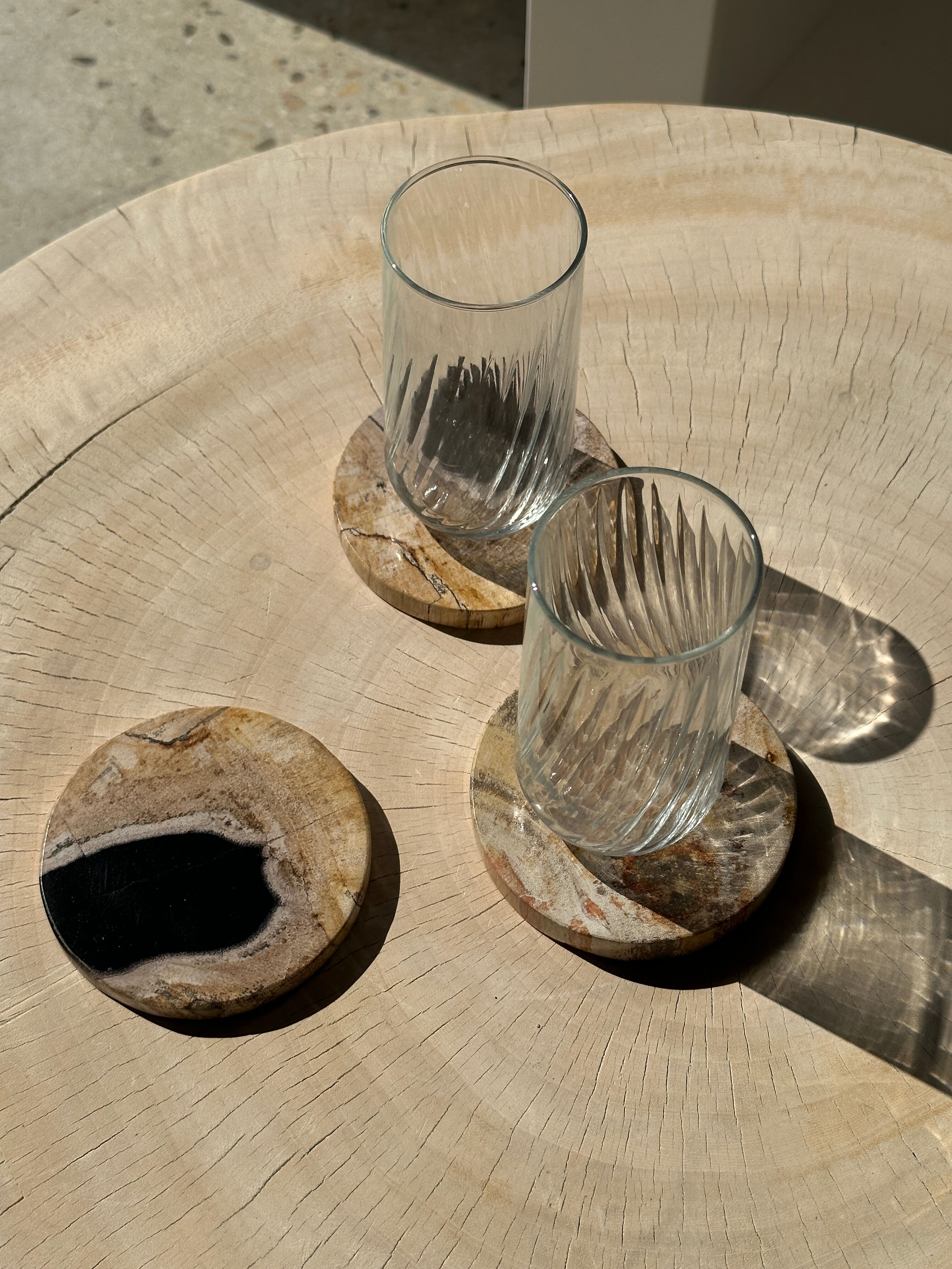 Set of 3 fossilized wooden coasters (clear)