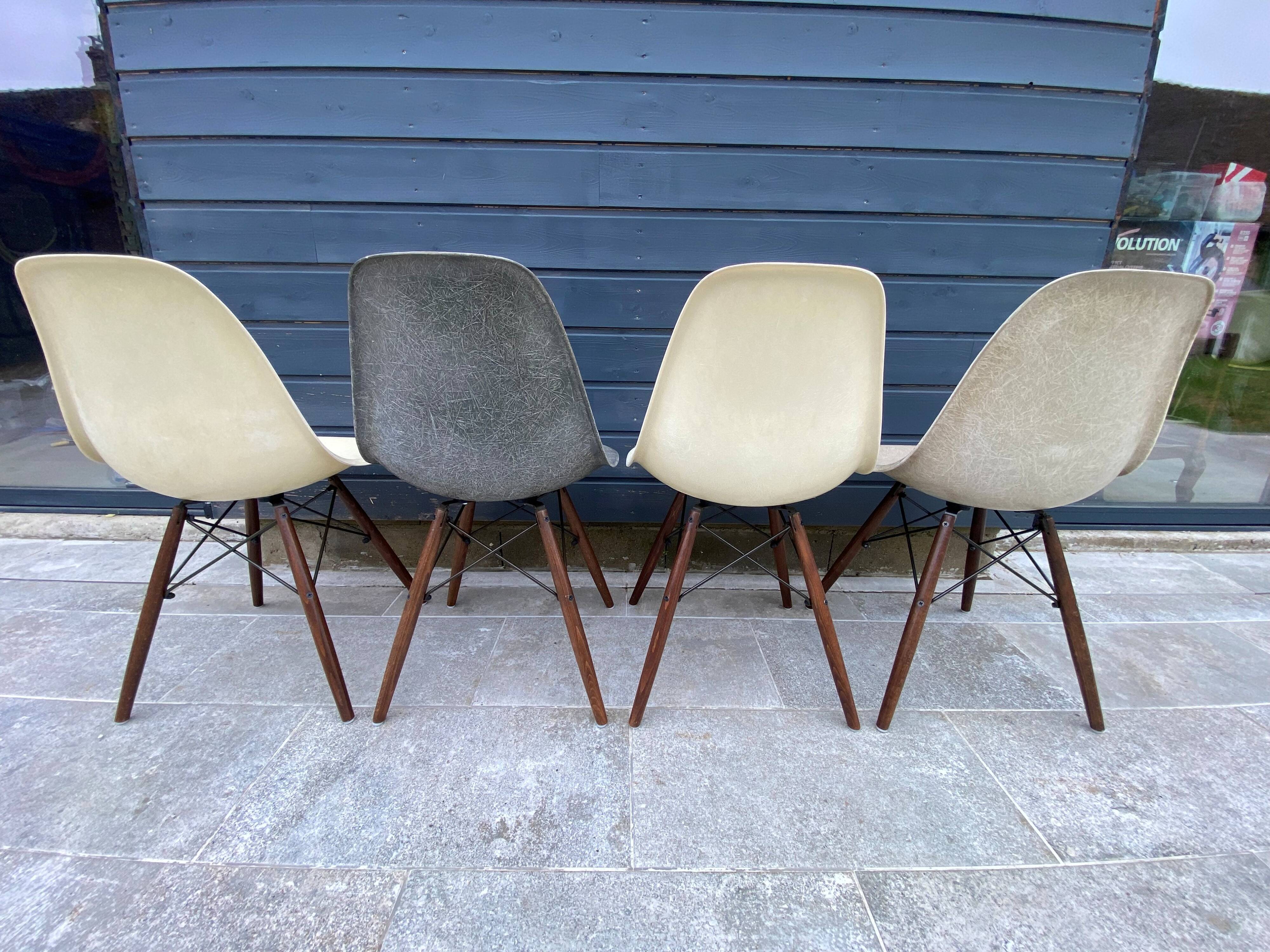 Lot of 4 DSW chairs in walnut fiber by Eames Herman Miller, vintage