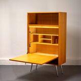 Mid Century Secreter or Bar Cabinet by Franz Meyer Möbel, Germany, 1960's