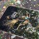 Vintage coffee table 50s - golden bird décor