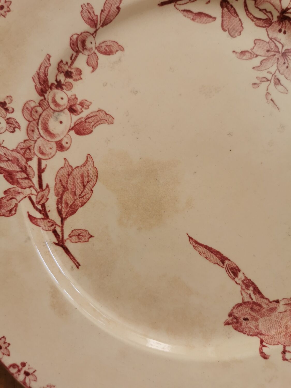 Assiettes anciennes Sarreguemines "Favori"