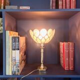 Bookcase or desk lamp