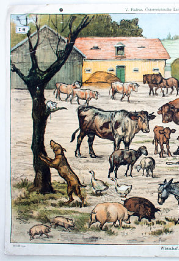 Affiche animaux grille, Fadrus, sur une ferme, 1952