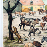 Animal Poster Grid, Fadrus, on a Farm, 1952