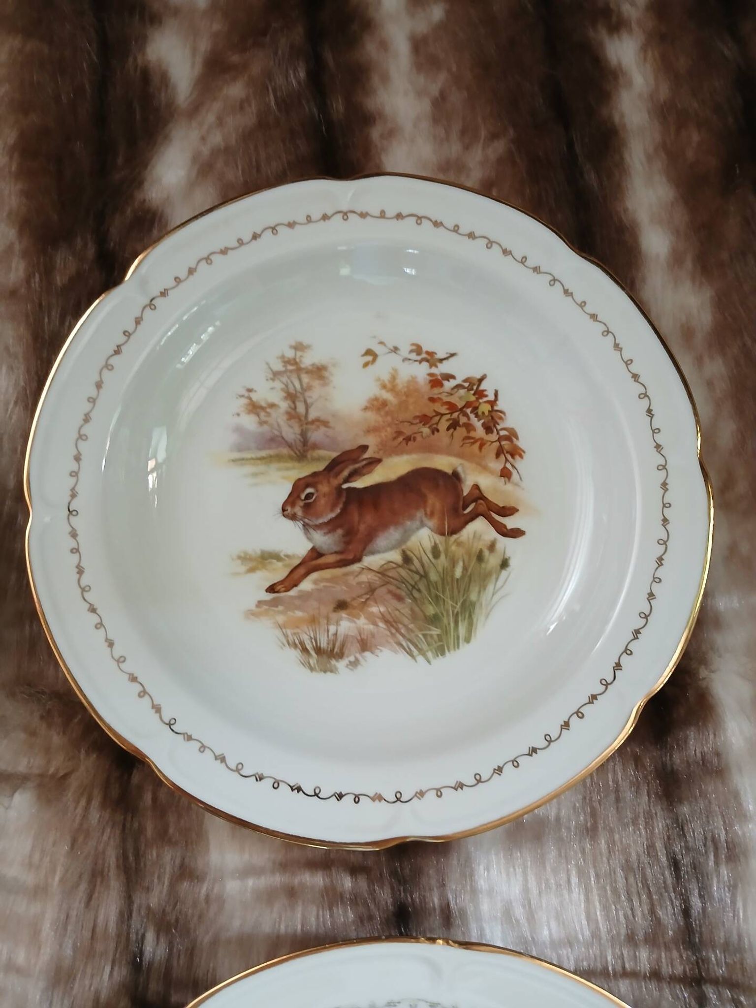 5 antique deep plates in porcelain