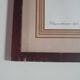 frame canvas poster vintage flowers chrysanthemim chrysanthemum ed smith deb w say scup