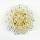 Mid-Century Floral Murano Glass Flush Mount by Ernst Palme for Palwa, Germany, 1960s