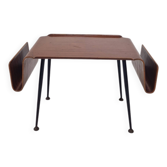 Italian Mid-Century Modern Coffee Table with Magazine Racks, 1950s