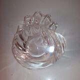 Empty shell pocket in crisatal of Vannes