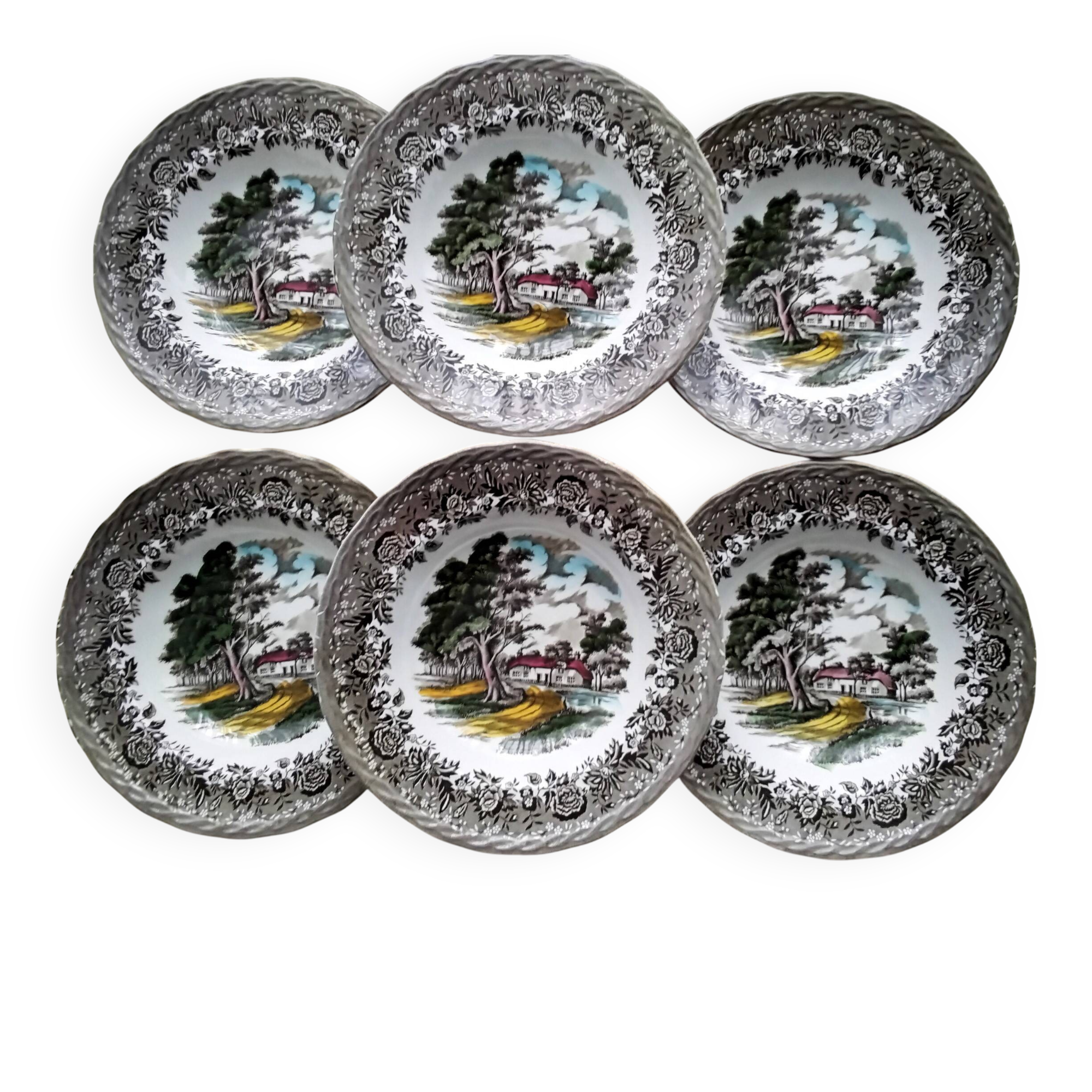 6 deep plates Staffordshire Country Style model