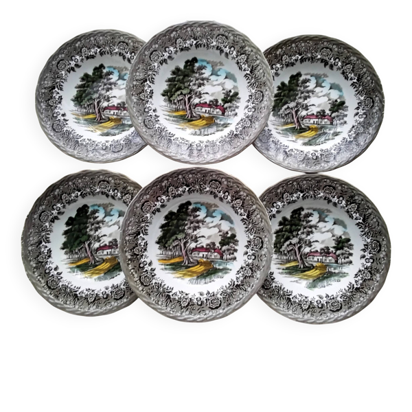 6 Assiettes creuses Staffordshire  Modèle Country Style