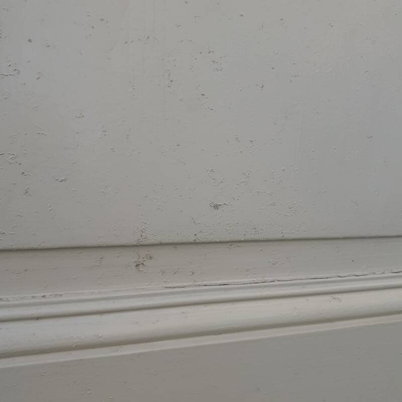3 large old Haussmann-style wardrobe doors 19th century H260cm