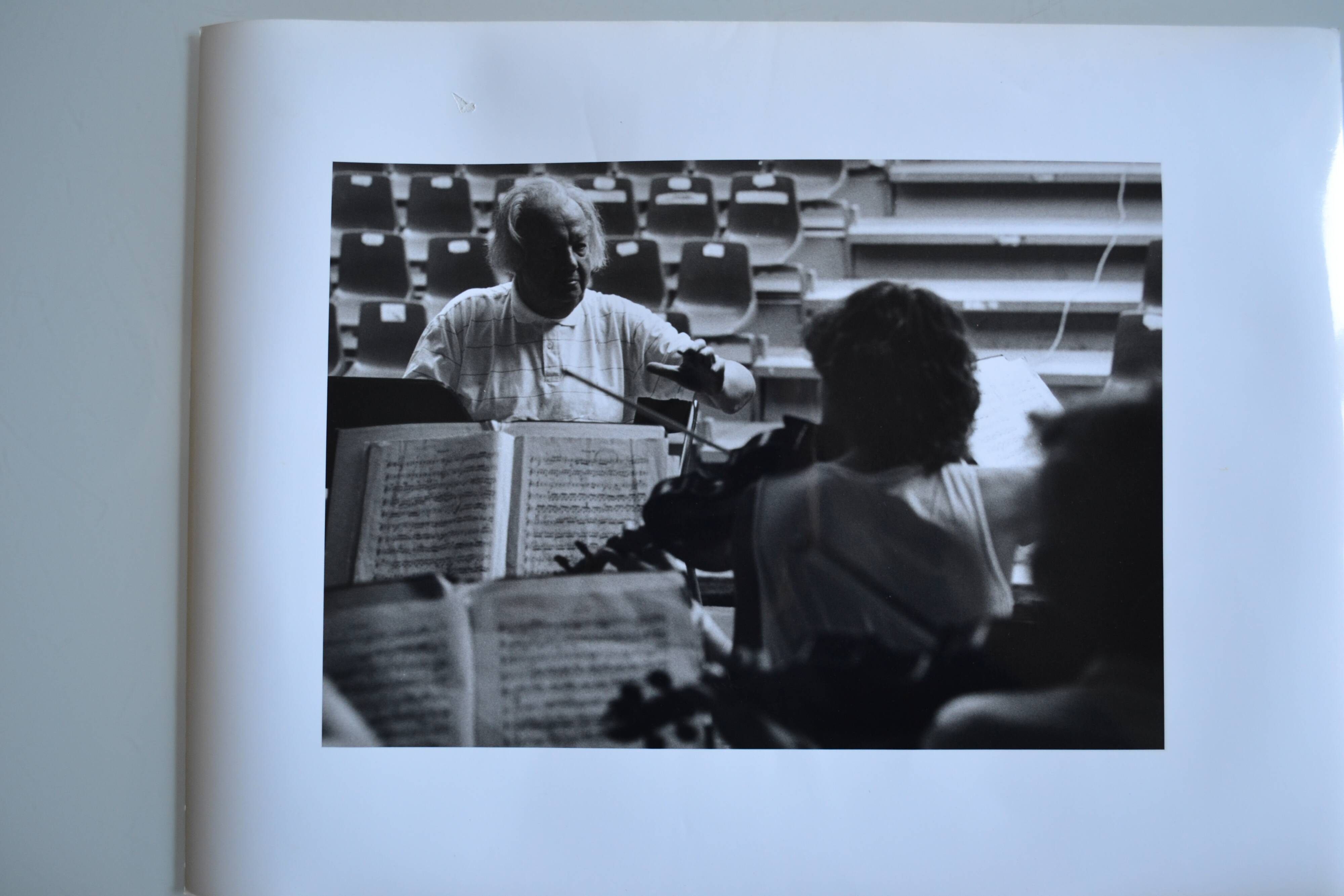 "violin violinist" original anonymous black & white photo