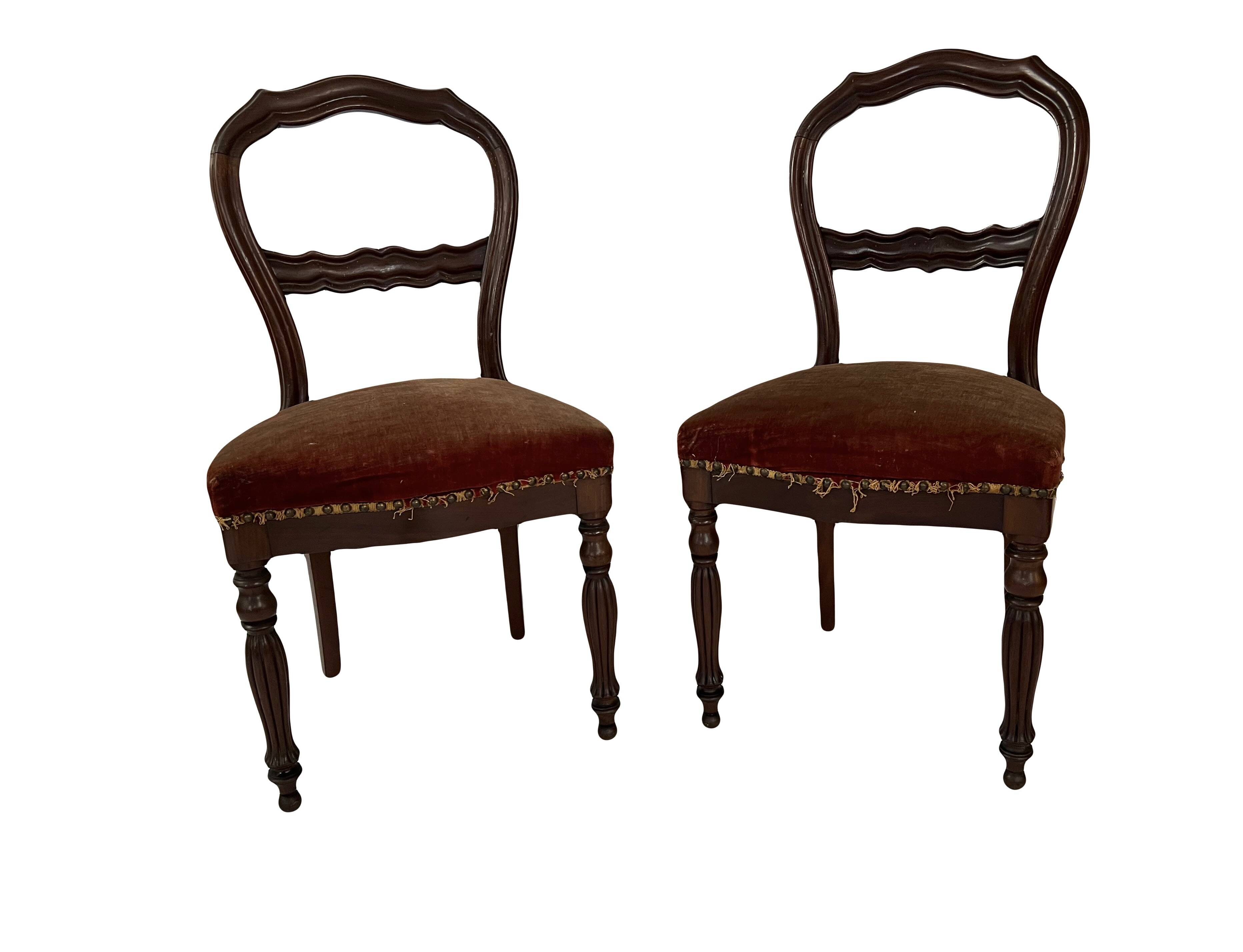 Pair of Louis Philippe period chairs in solid mahogany