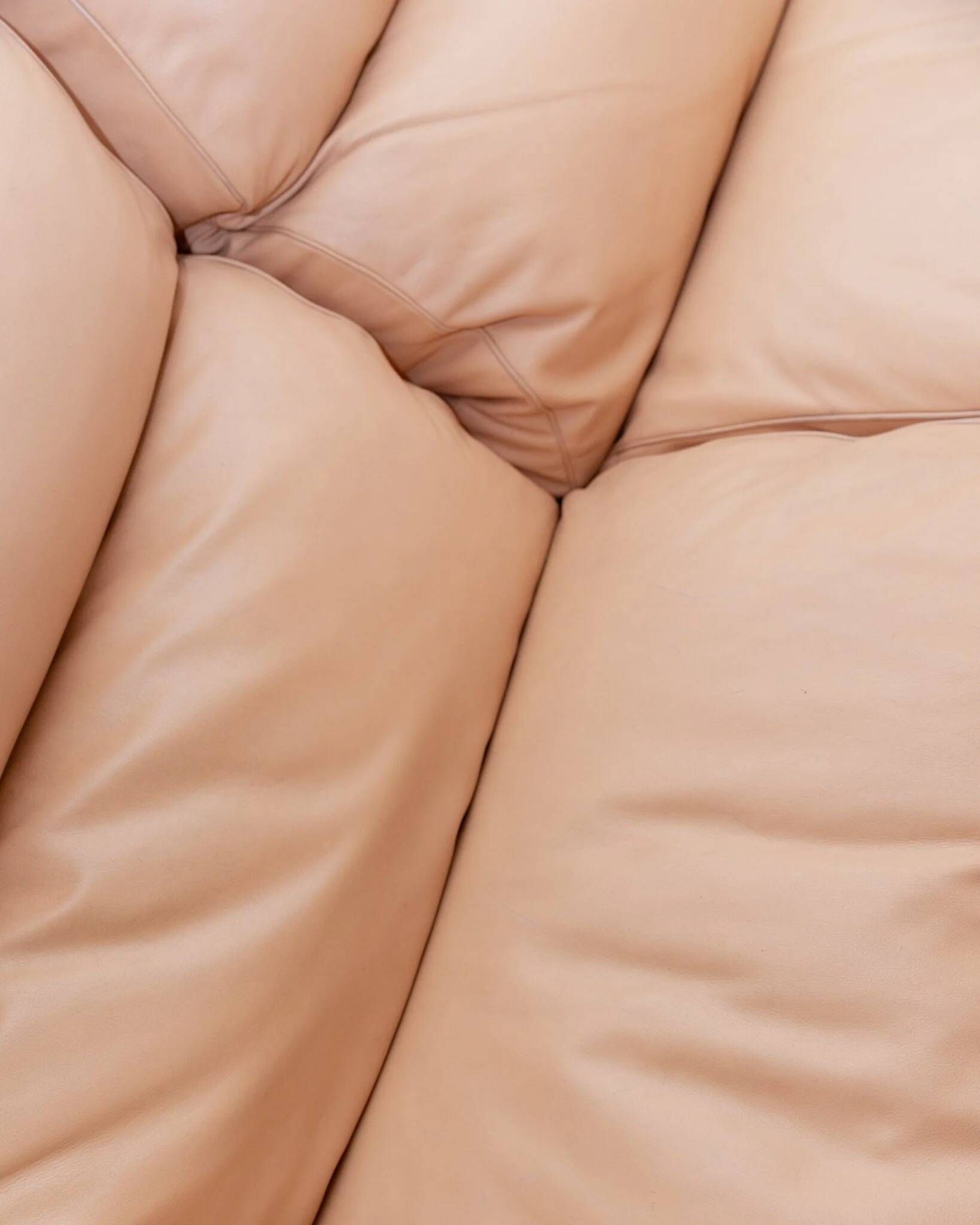 Vintage blush leather modular sofa Petronio by Tito Agnoli for Poltrona Frau, 1970s mid-century design