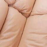 Canapé modulaire en cuir rose vintage Petronio par Tito Agnoli pour Poltrona Frau, design des années 1970.