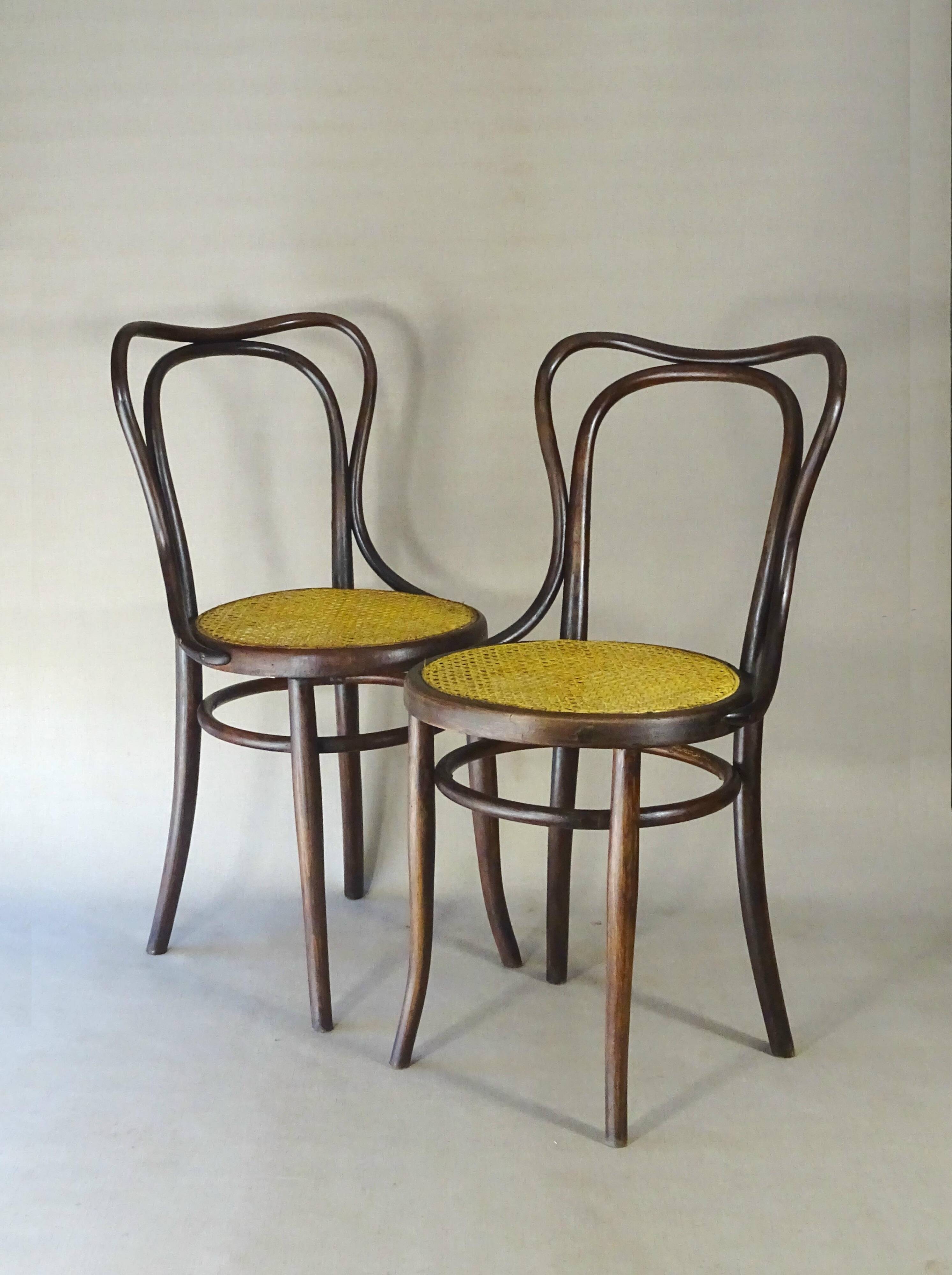 Deux chaises KOHN N°55 de Ca. 1900 cannées, teinte acajou américain.