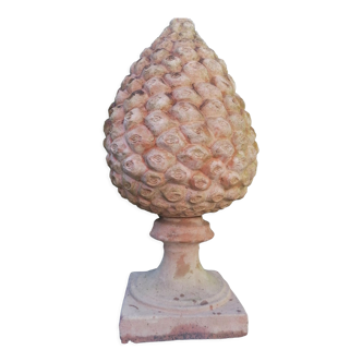 Terracotta pine nut