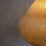 Rhodoid suspension, 1960s.