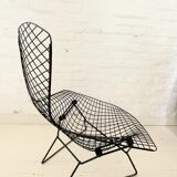 Bird Chair Harry Bertoia for Knoll Black