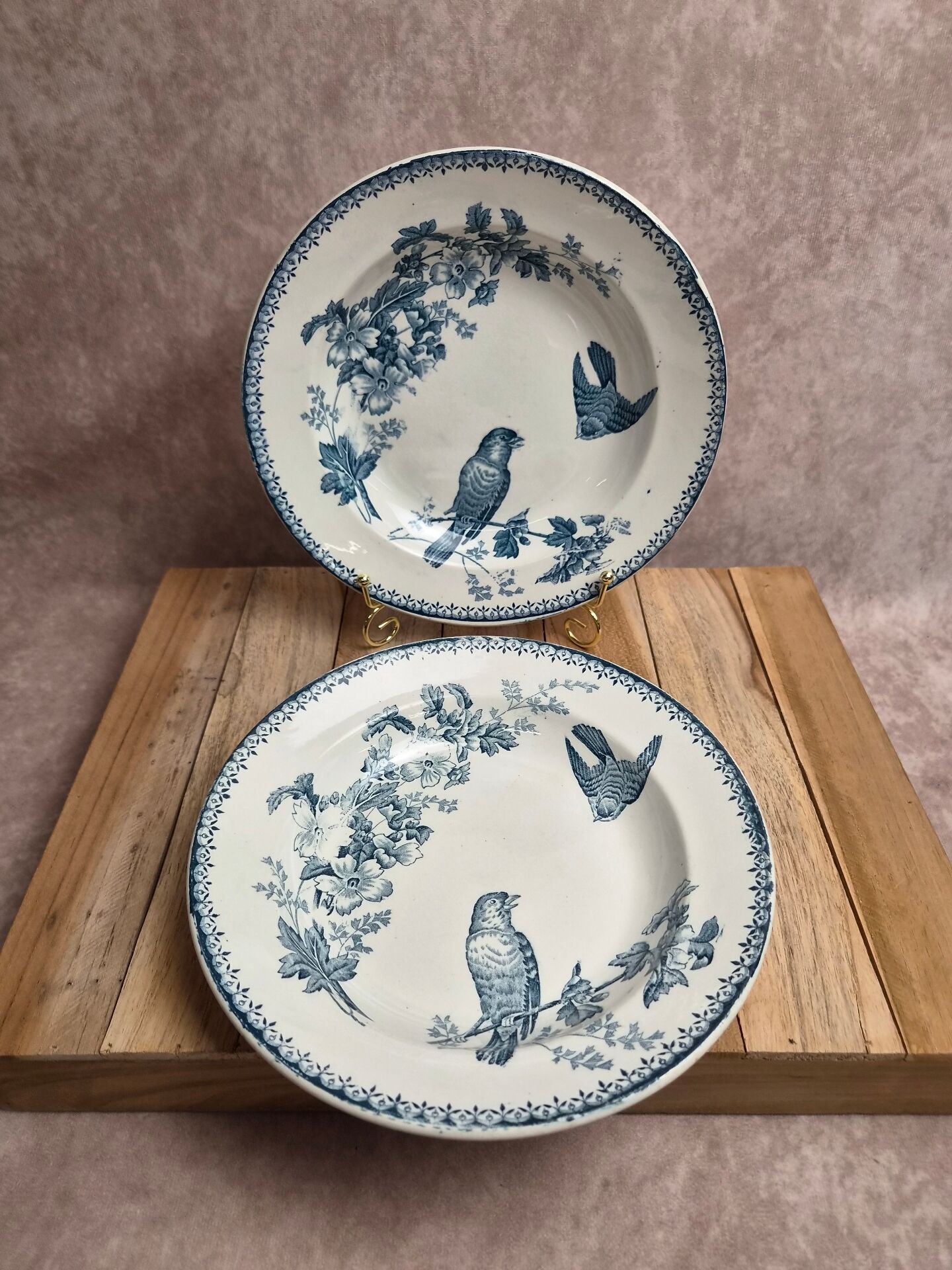 Set of 2 deep plates Longwy – Mésange model