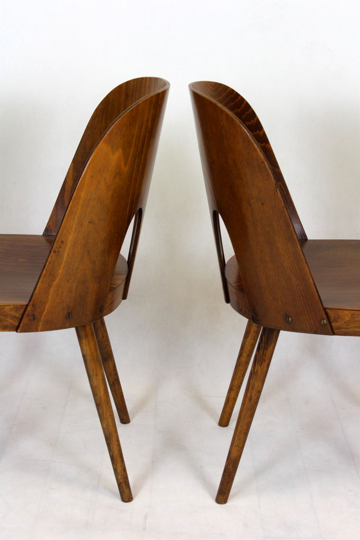 Wooden chairs by Oswald Haerdtl for Ton, 1950