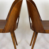 Wooden chairs by Oswald Haerdtl for Ton, 1950