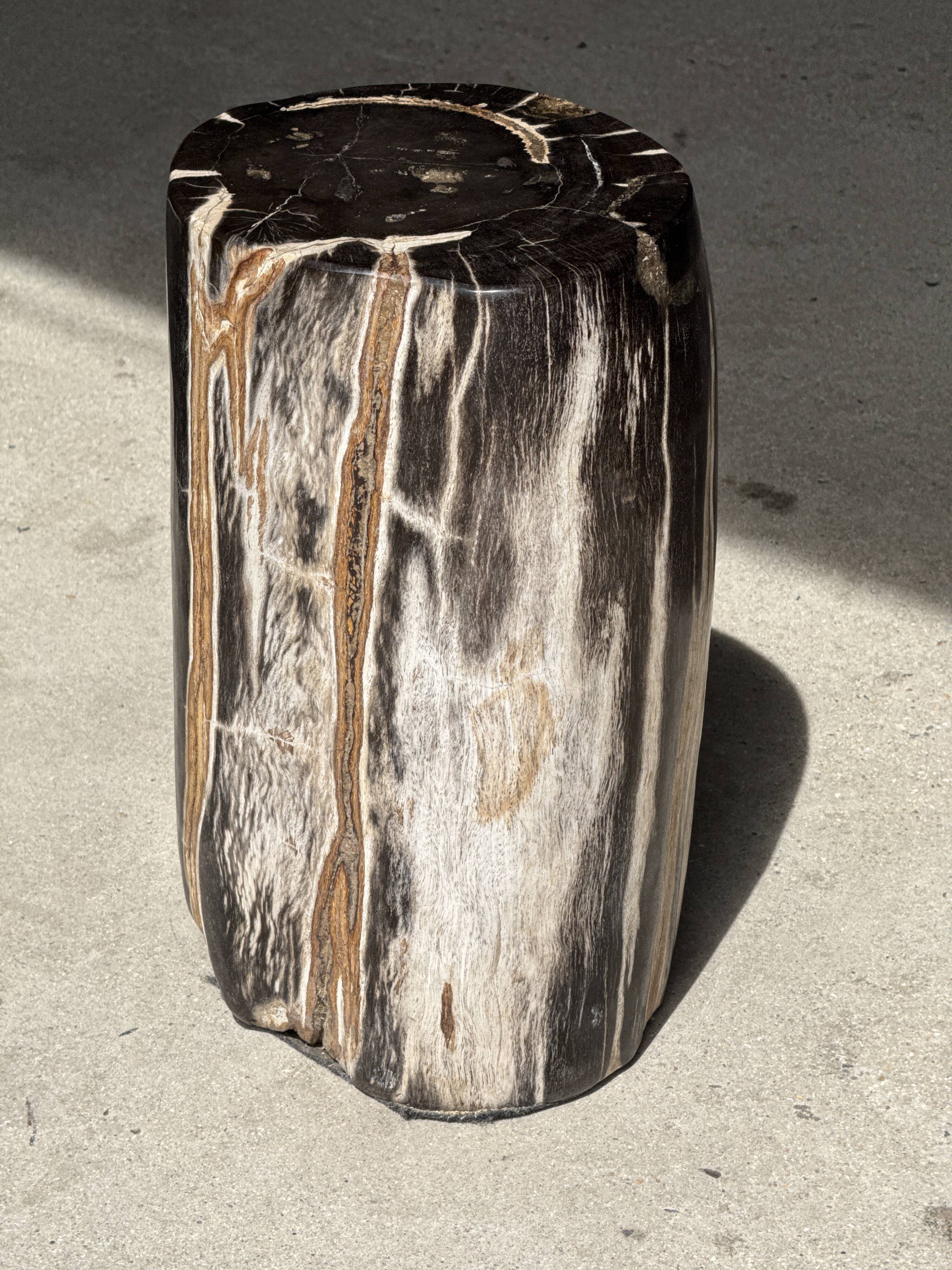 Table d'appoint en bois pétrifié noir