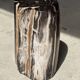 Table d'appoint en bois pétrifié noir