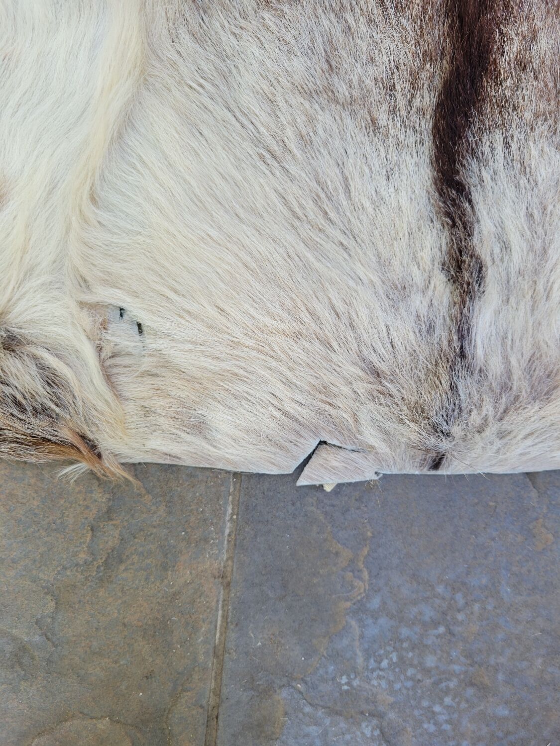 Mexican goatskin rug