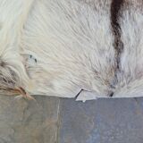 Mexican goatskin rug