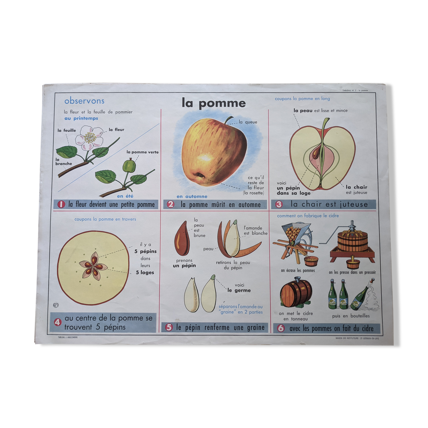 Old vintage school poster apple cider botanical leaf