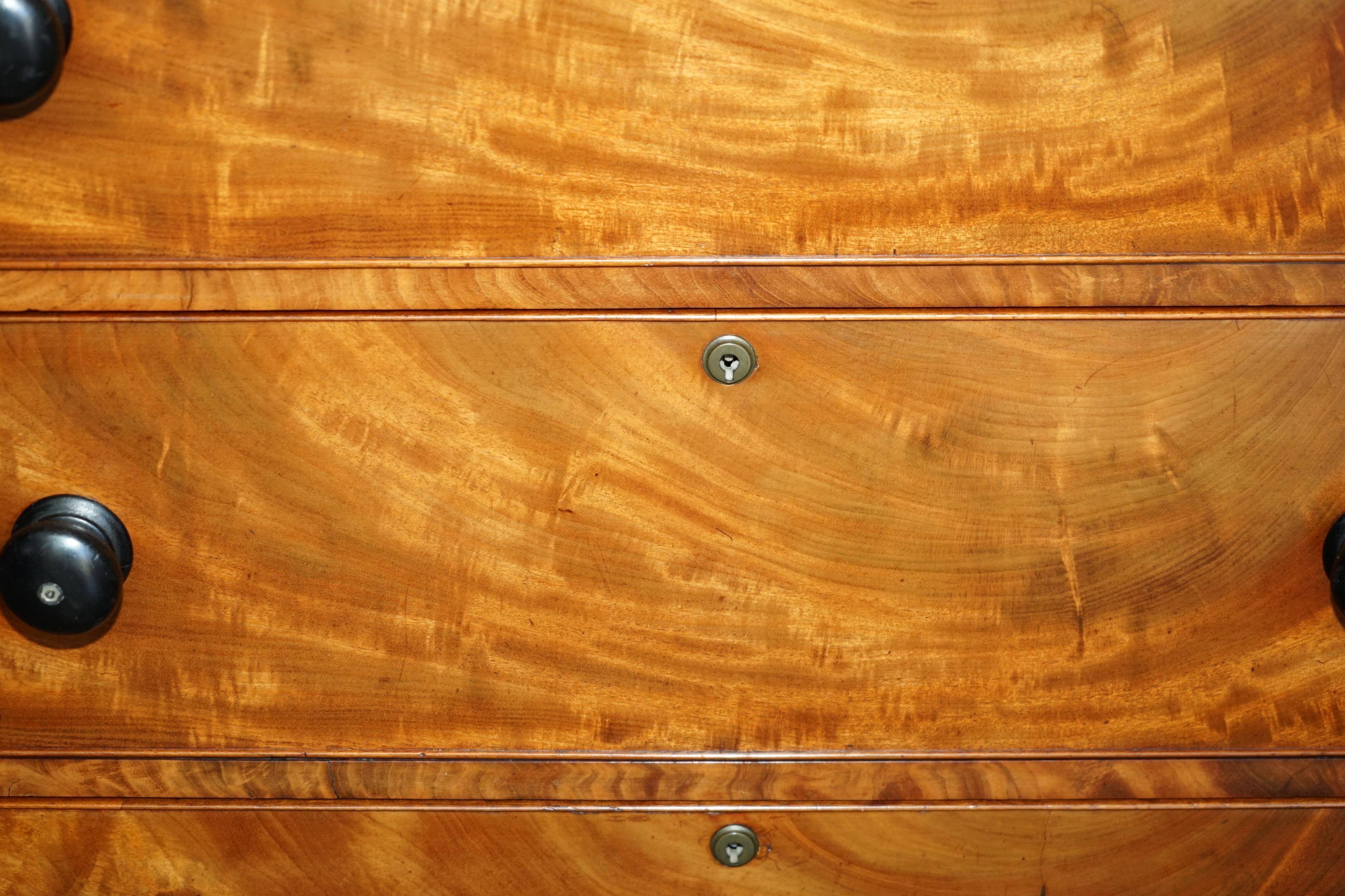 Victorian Chest of Drawers in Satin Walnut, Circa 1860