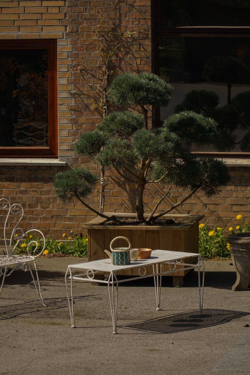 Metal coffee table in French garden style, mid-century modern, with perforated top, 1950s.