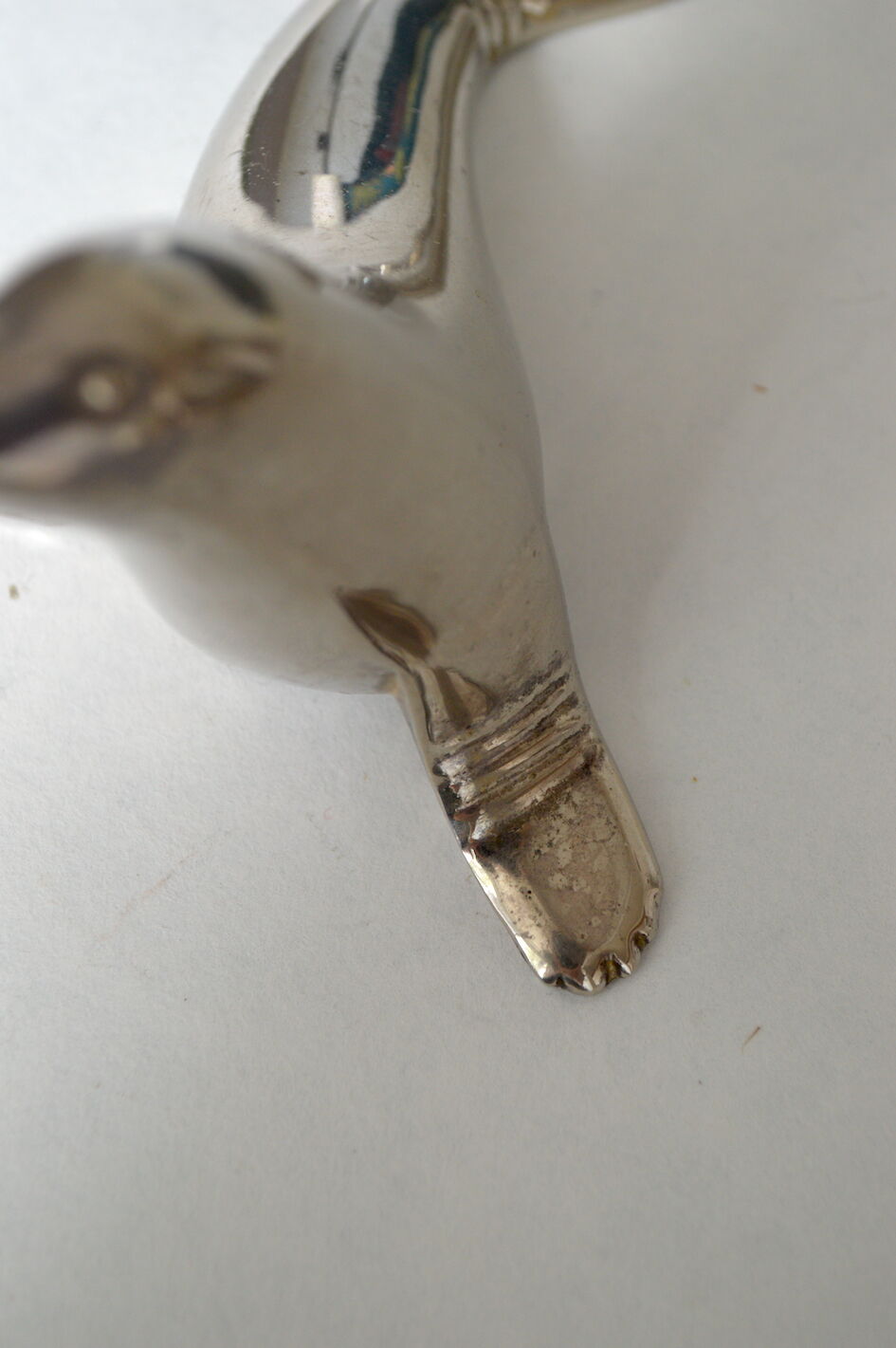 Sea lion bottle opener