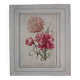 Old botanical engraving "carnations"
