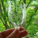 6 old Port stemmed glasses in engraved baccarat crystal