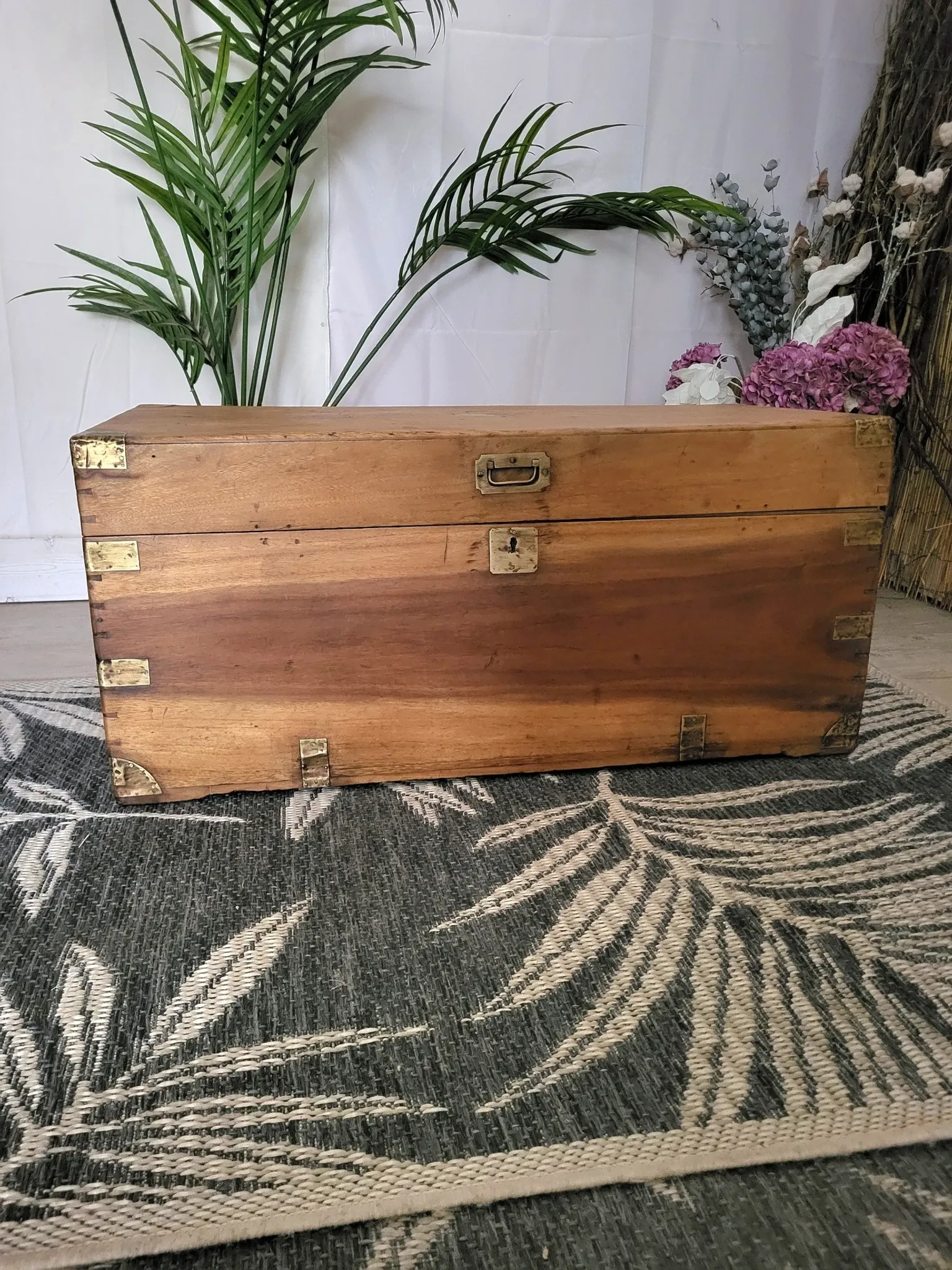 Old camphor wood trunk