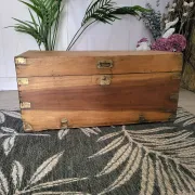Old camphor wood trunk