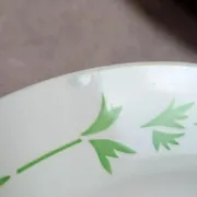 Set of 9 flat plates in ironstone Digoin Sarreguemines – Poupette model – Vintage