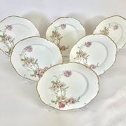 6 Assiettes plates Baltimore Rose de Haviland Limoges