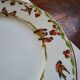 Plate birds