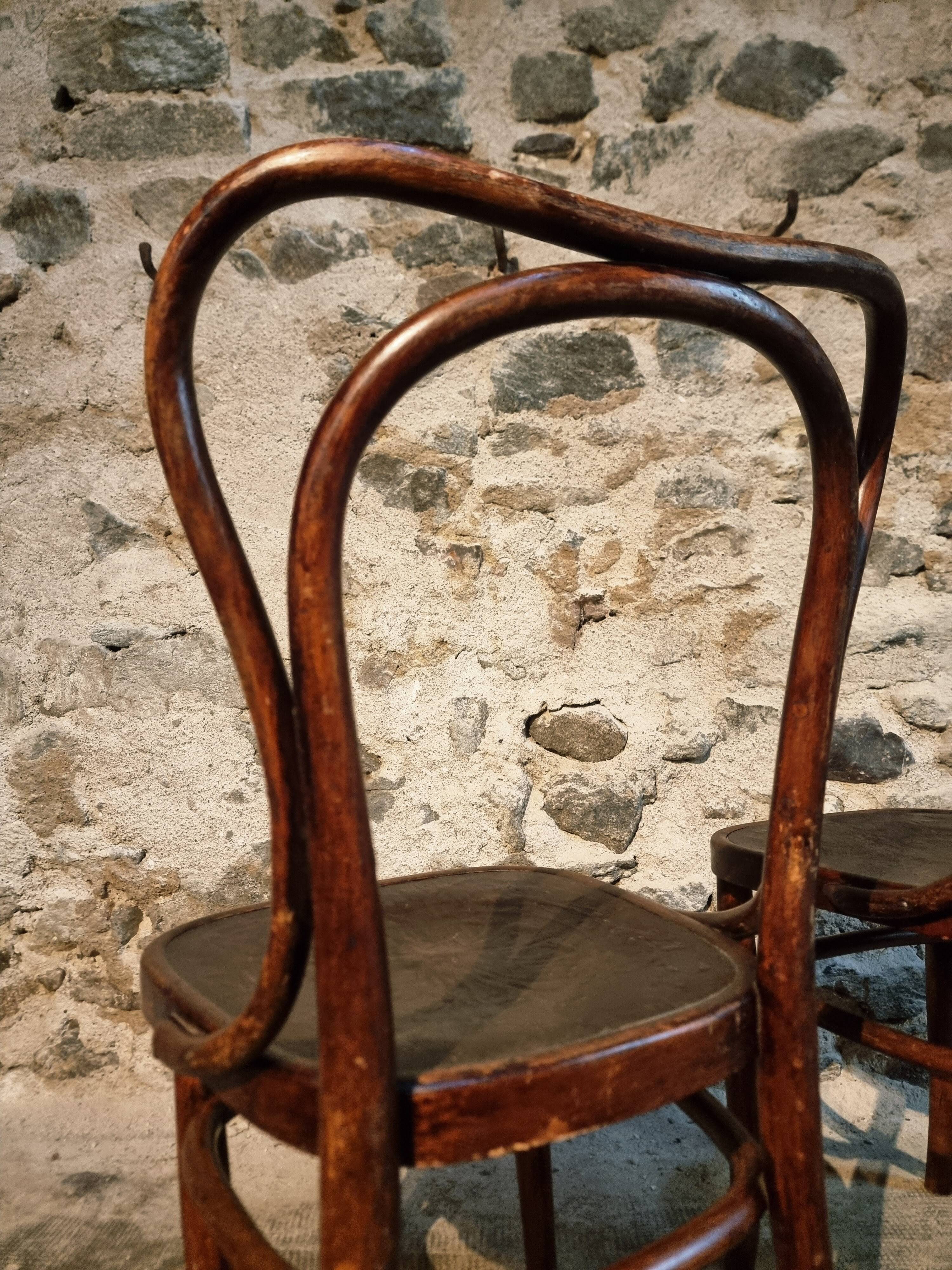 Pair of curved wooden chairs by Jacob & Josef Kohn, Vienna circa 1900