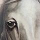 Peinture à l'huile vintage originale de cheval blanc, portrait équestre signé.
