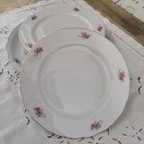 Dessert service 6 people 7 pieces porcelain Bavaria white decoration roses field flowers
