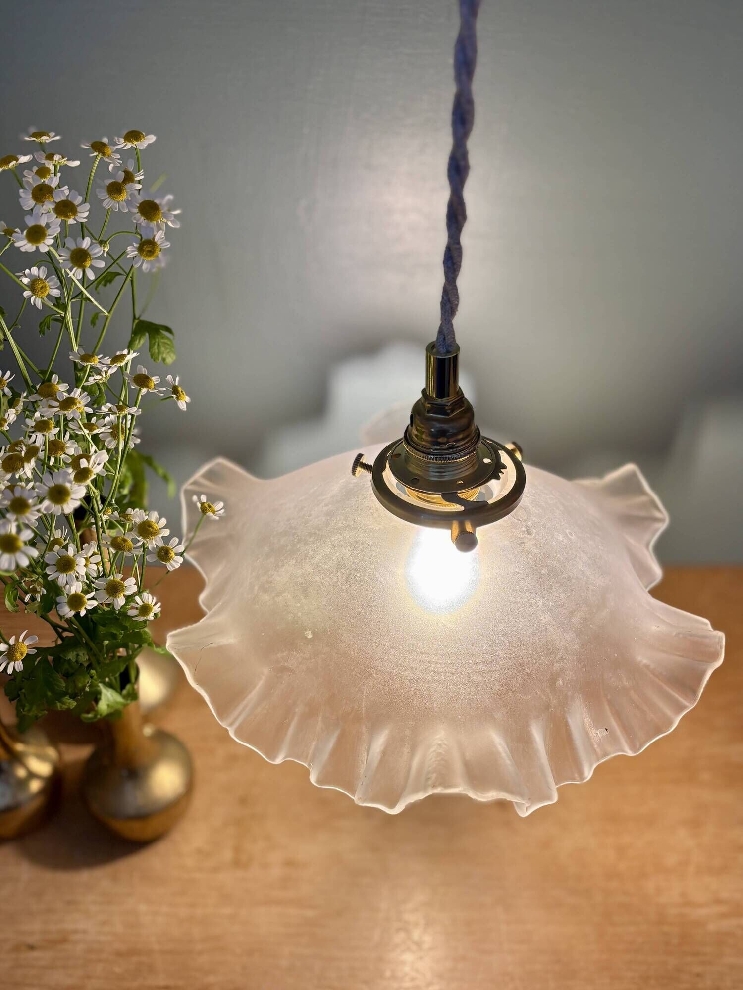Suspension vintage lampshade in frosted glass (DEP01)