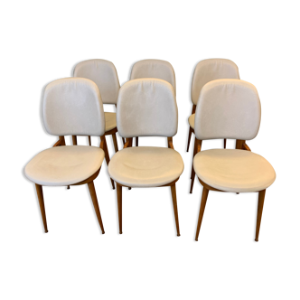 6 Pegasus chairs - Baumann