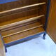 Shoe cabinet