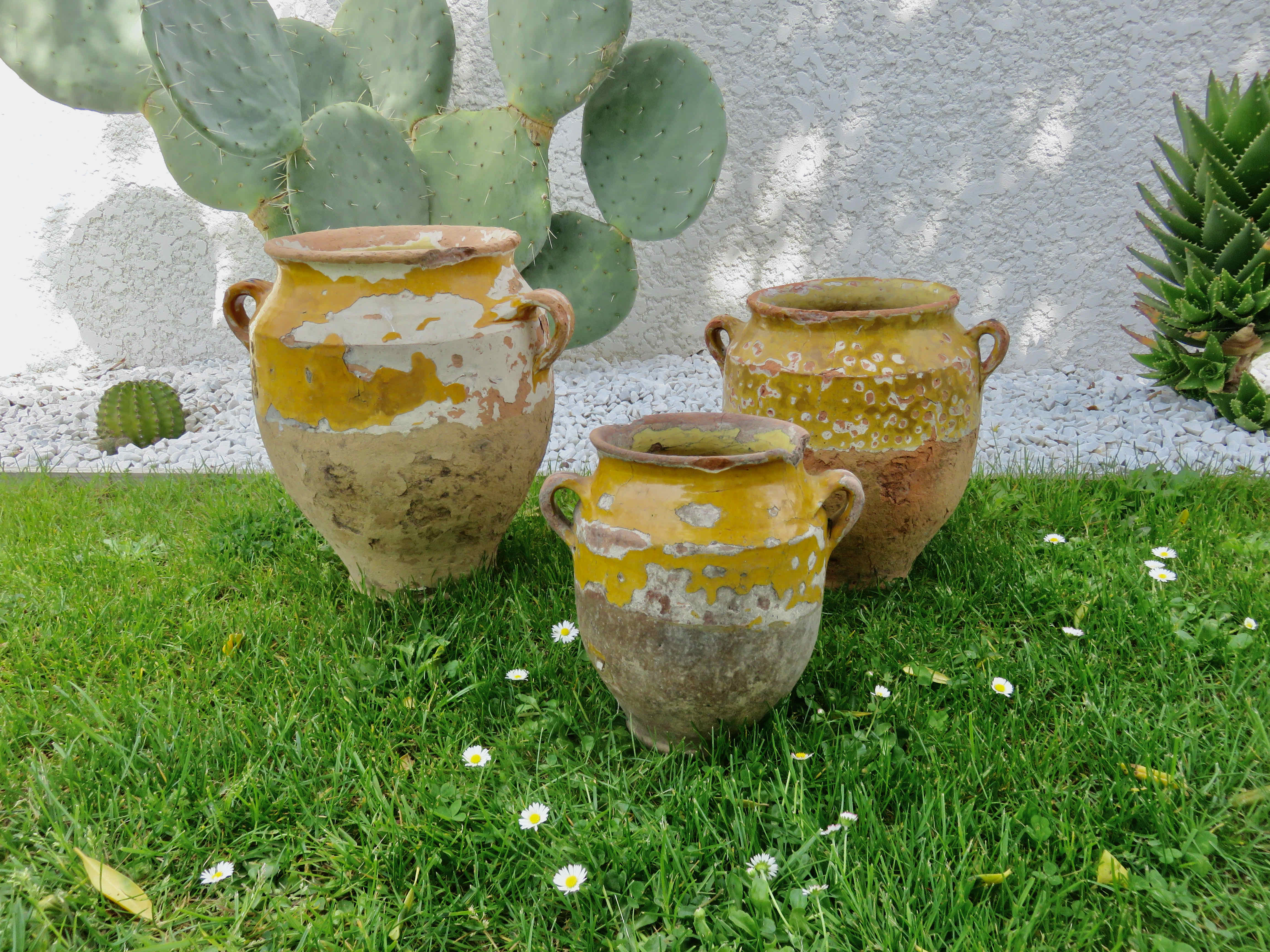 Old candied pot in yellow glazed terracotta XIX century