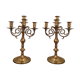 Pair of candelabras five branches in gilded bronze